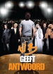 Ali B geeft antwoord