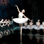 Het Zwanenmeer - Het Nationaal Ballet