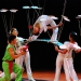 The Peking Acrobats