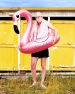 KEES VAN AMSTEL